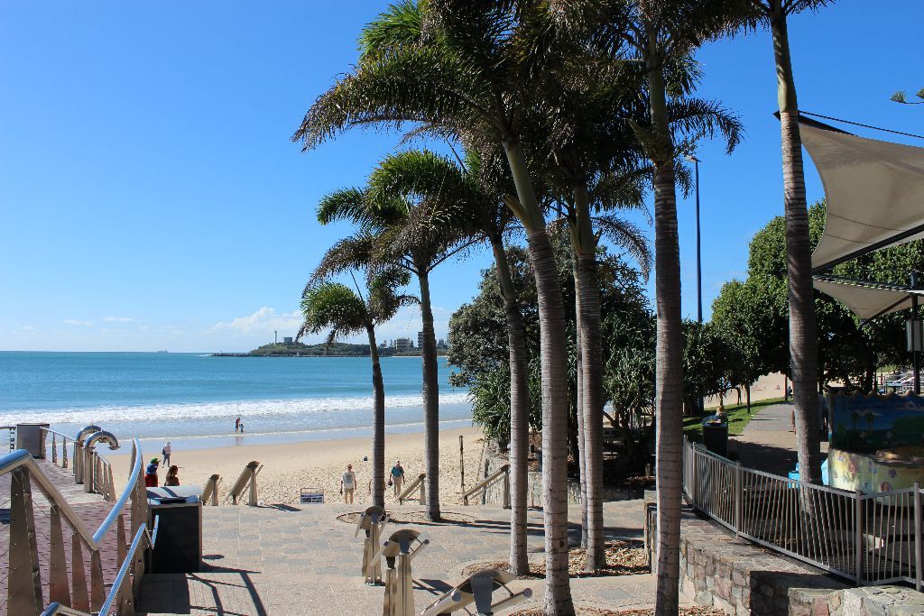 Trees on beach