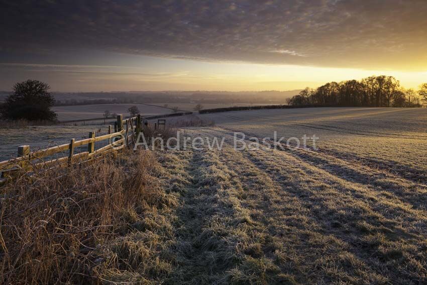 A golden sunrise breaks over a winter farmland landscape coated in frost.