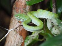 001 Hidden in Plain Sight