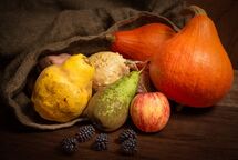 002 Autumn Harvest