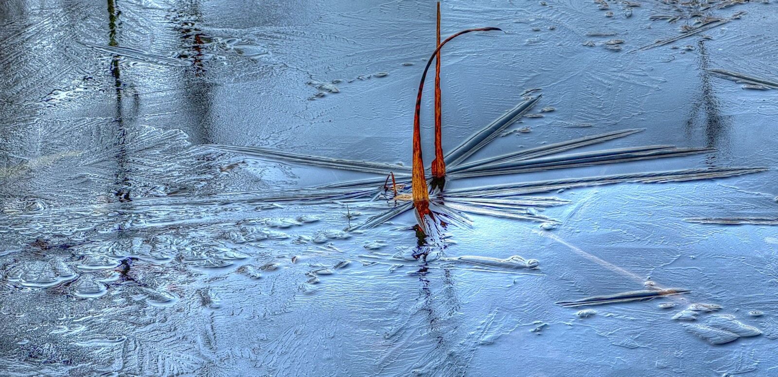 002 Cold Day at the Pond
