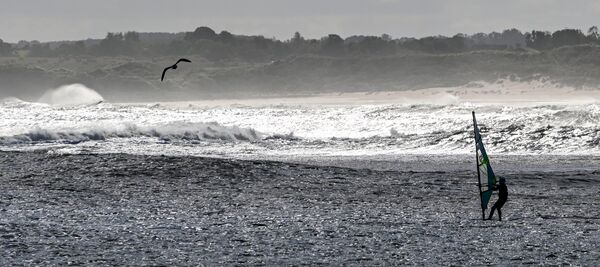 002 The Winsurfer and the Gull
