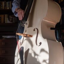 005 Double Bass, Sunny Afternoon