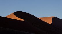 008 Shaded Dunes