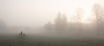 010 Misty Morning
