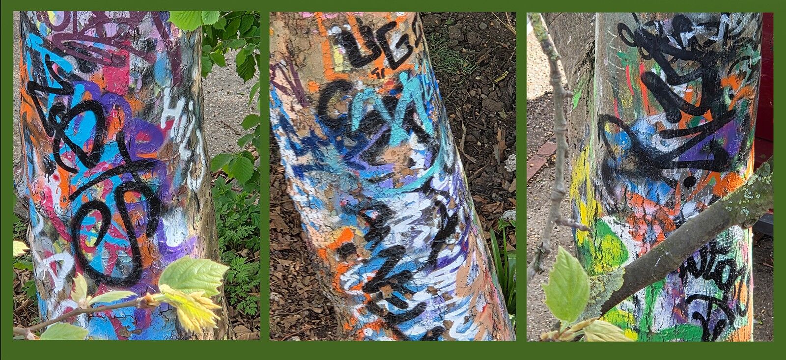 010 Treeffiti Triptych