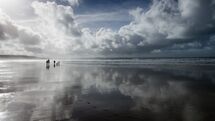 013 October on Newgale Beach