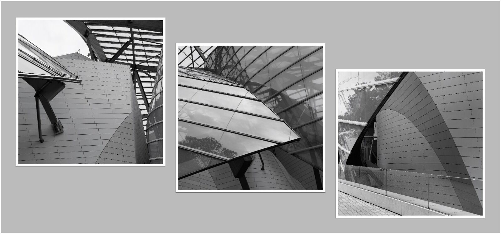 015 Features of the Fondation Louis Vitton