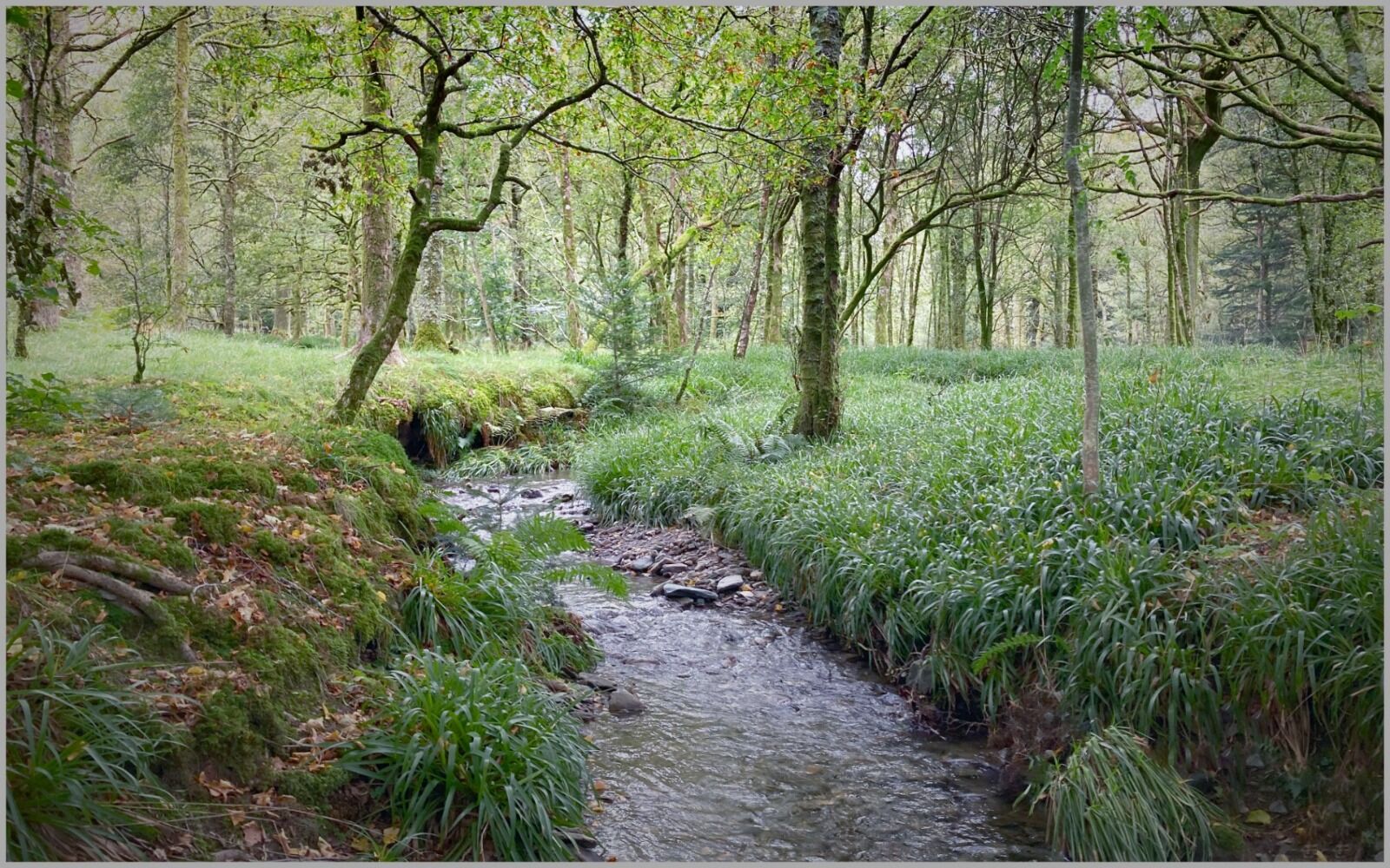 015 The Stream at Season's Turn
