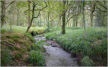 015 The Stream at Season's Turn