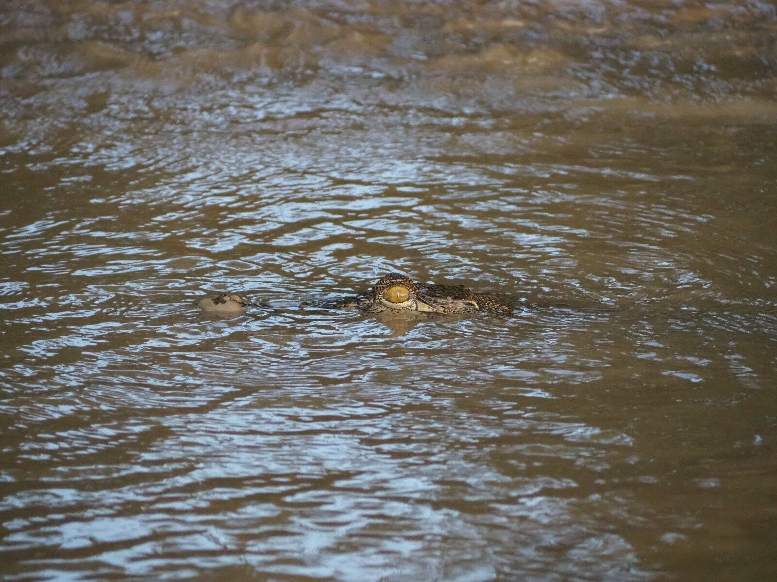 025 No Swimming