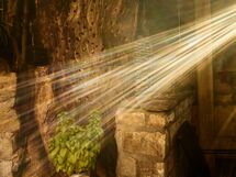 027 In the wine bar I saw the light