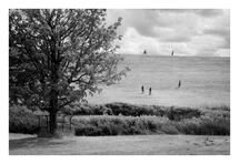 029 Summer in the park