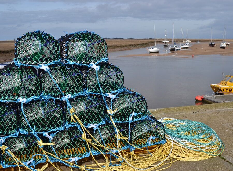 11. Norfolk Nets