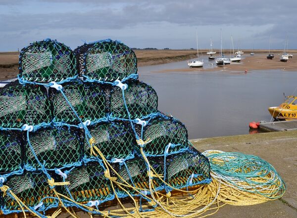 11. Norfolk Nets