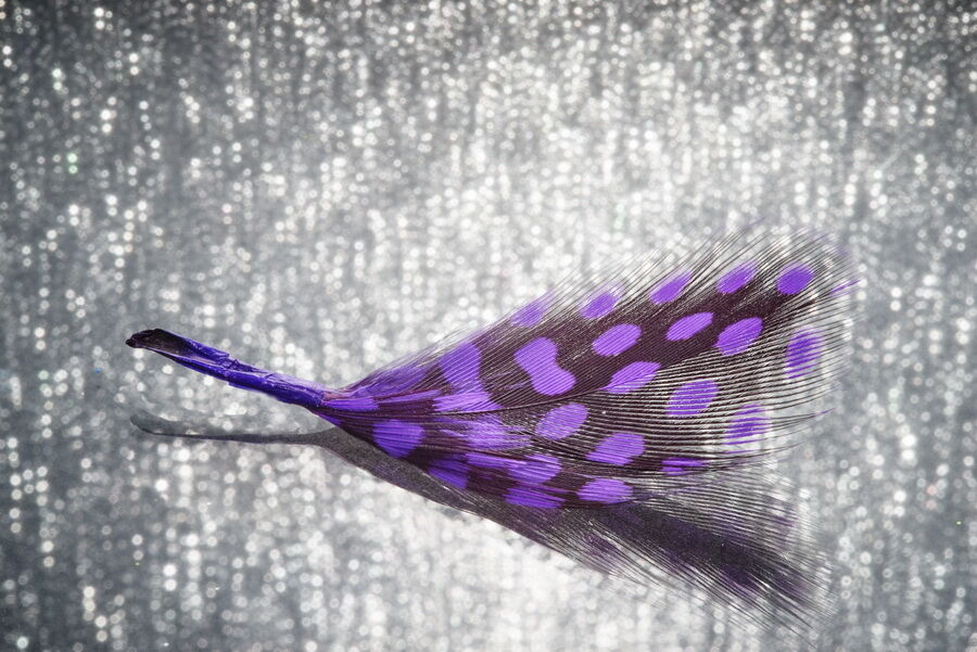 13. The Feather