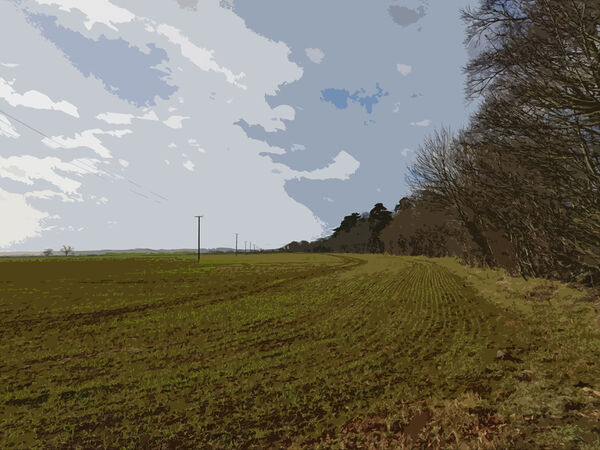 15. Vanishing point