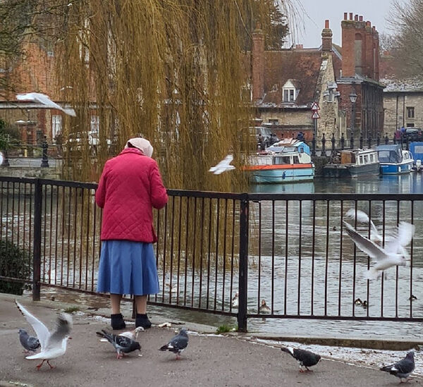 1 - Abingdon bird lady