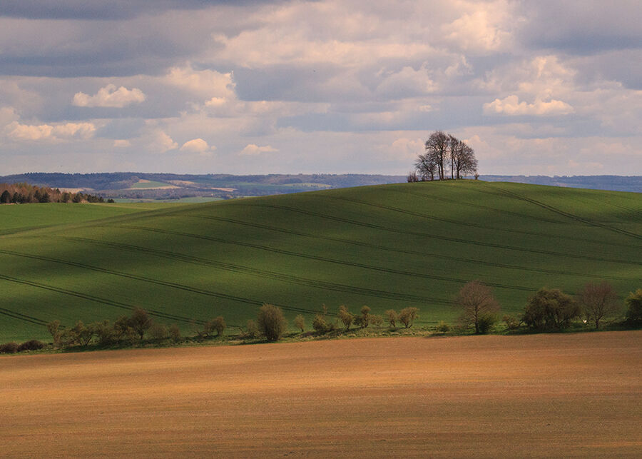 3. Brightwell Barrow