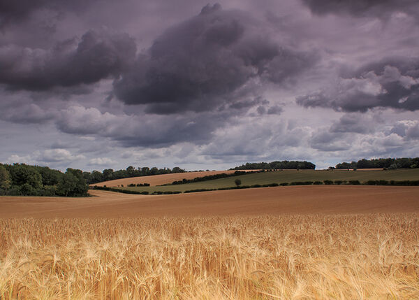 3 - Chilterns near Hailey