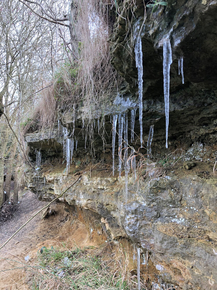 4. Cold Afternoon at Dry Sandford