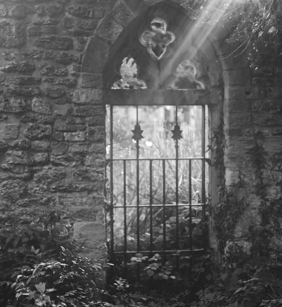 Secret Garden