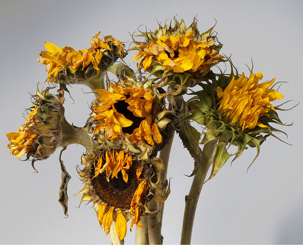 The end of the summer