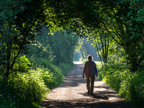 Early morning walk