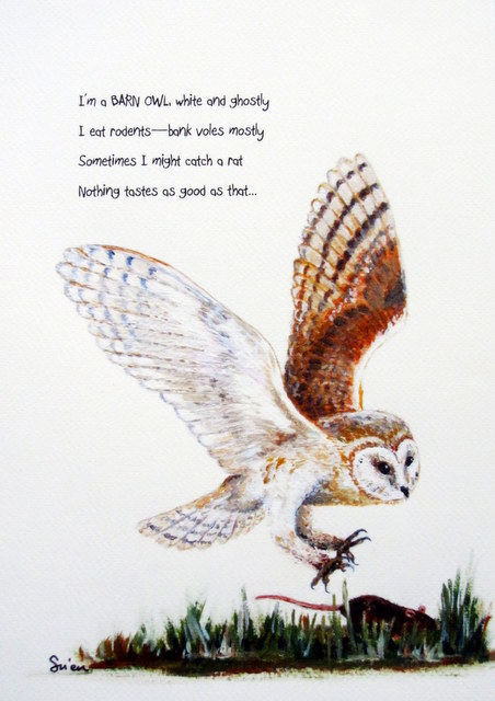 Barn Owl Print