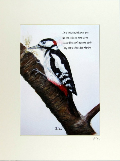 Woodpecker