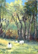 Sheep Grazing