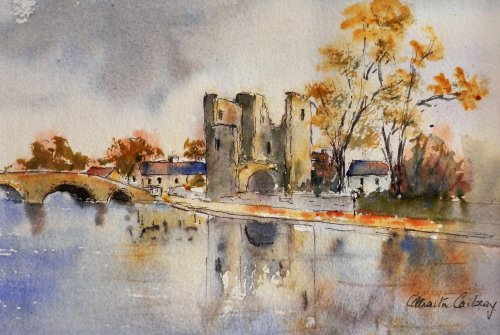 Back Castle, Leighlinbridge,Co Carlow