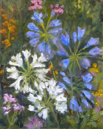 Blue and White Agaphantus ©