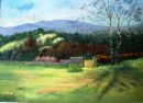 Blackstairs Mountains fromborris house©