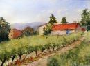 Path through the Vines,Provence