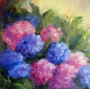 Hydrangeas