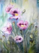 Purple poppies ©