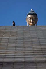 Buddha Dordenma Statue