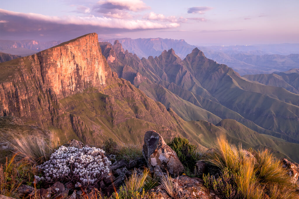 North Peak at dawn