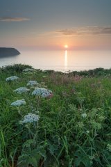 Skomer