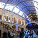 'Hope' - the blue whale