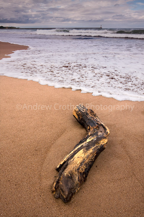 Driftwood