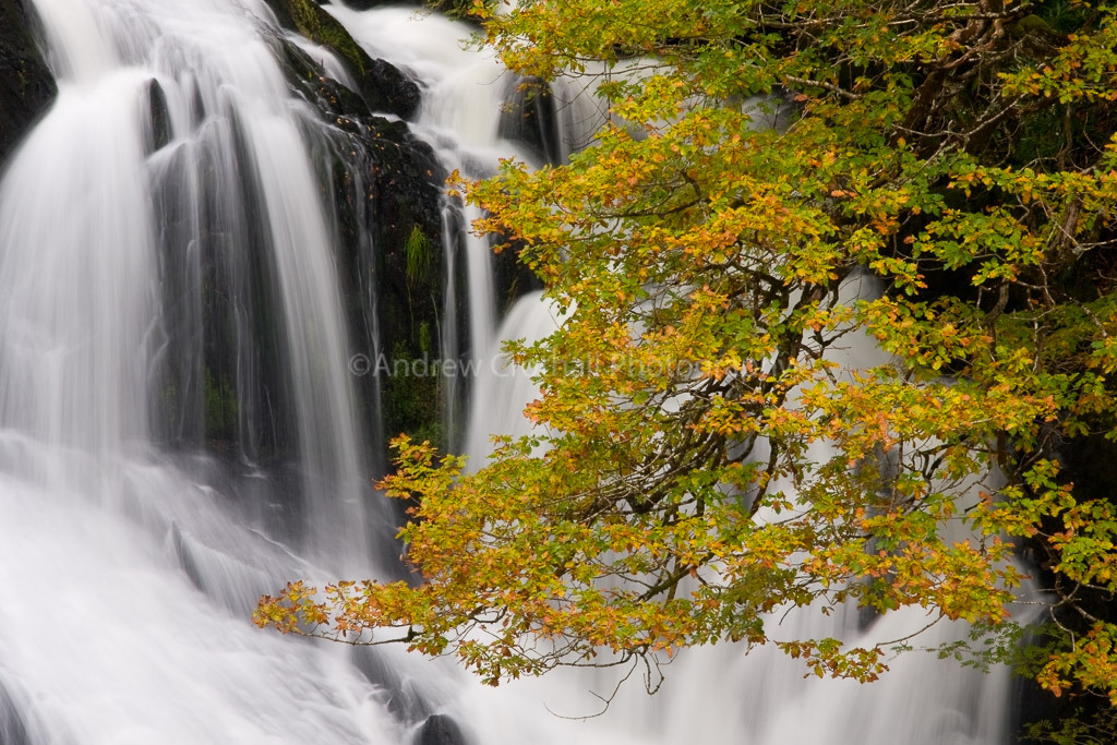 Cascade