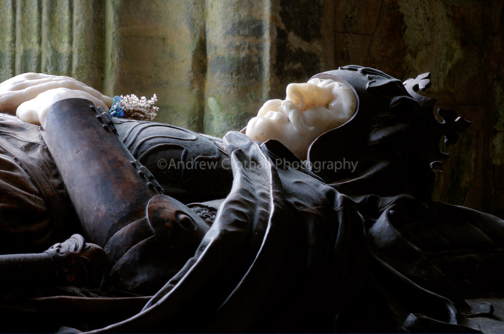 Robert the Bruce