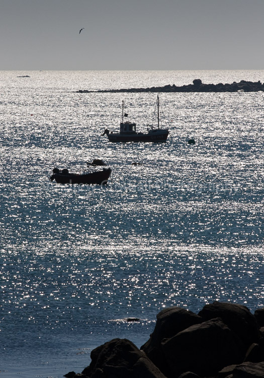 Shimmering Sea