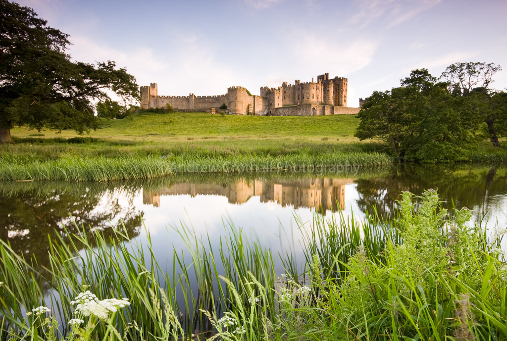 Alnwick reflection