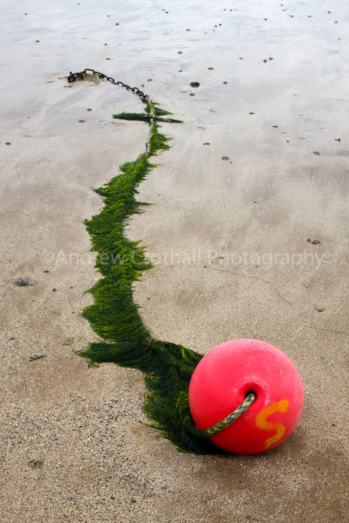 Pink buoy