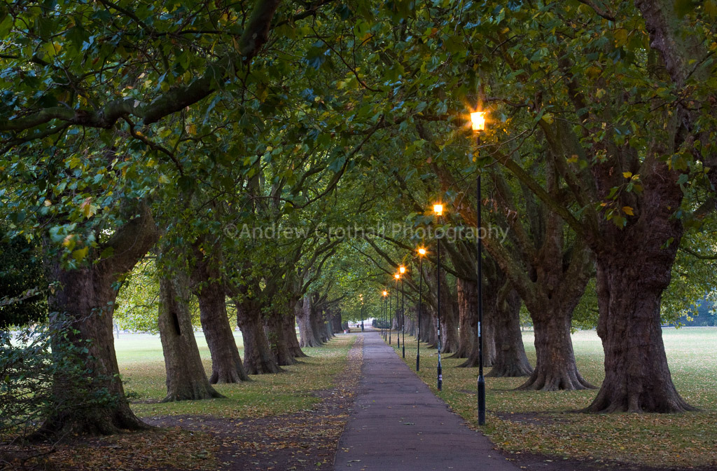 Jesus Green