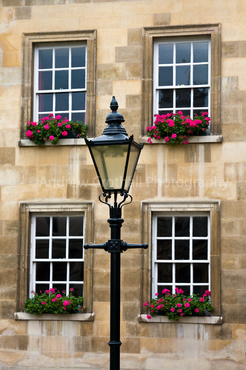 Window boxes
