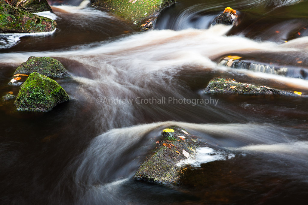 West Beck detail